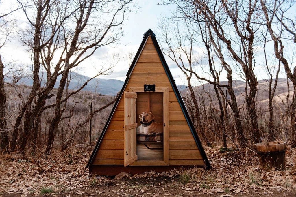 Big Dog A-frame Accommodations