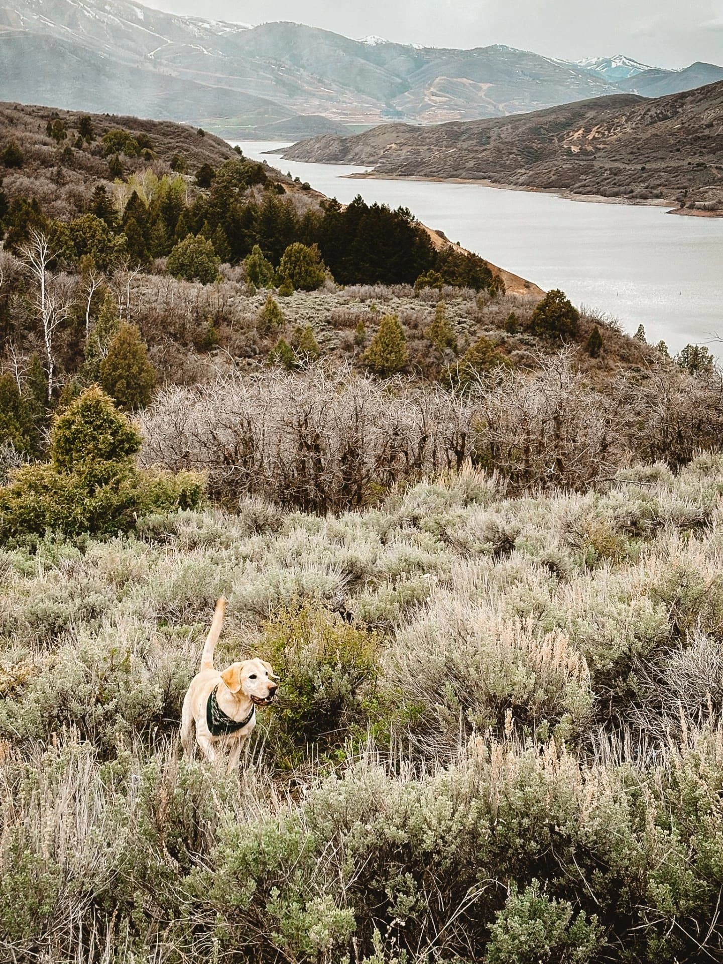 Hikes Around The Lake