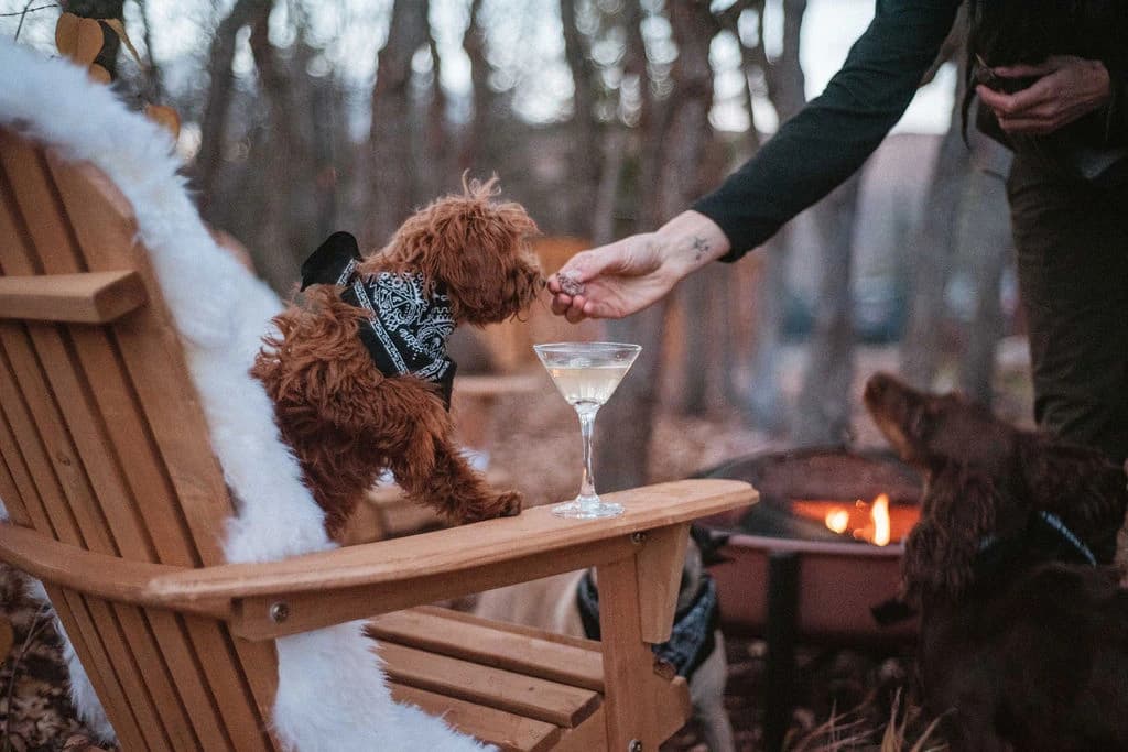 Treats By The Fire
